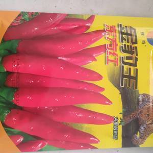 出售辣椒种，包回收15563773767