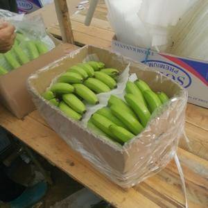 供应广西南宁基地香蕉