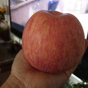 红富士苹果清库处理，质量好，价格便宜