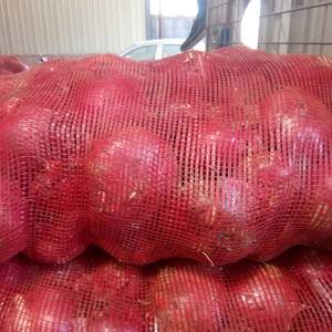 金乡红皮洋葱大量上市中，质量好价格不高。