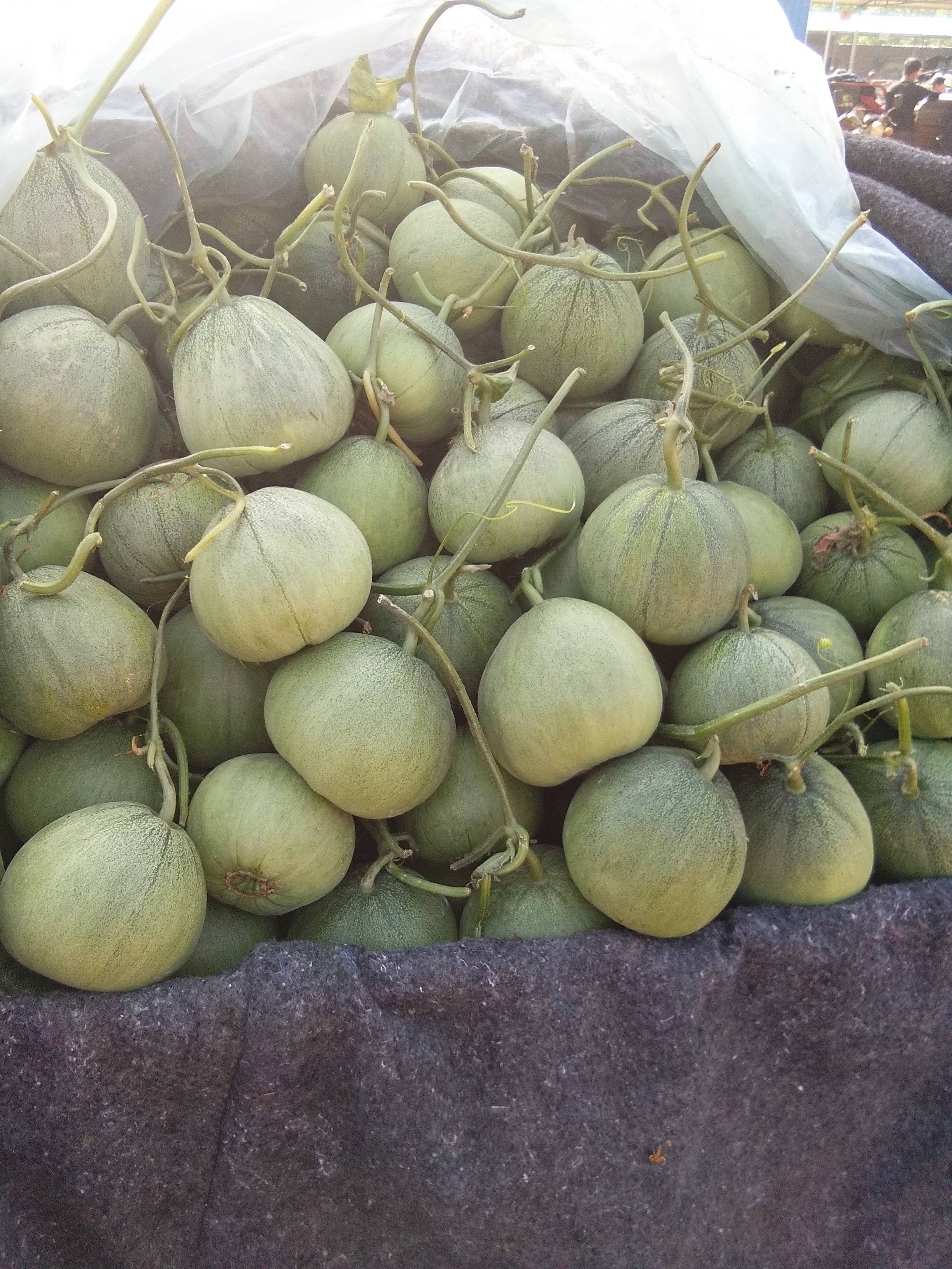 鲁西瓜果交易市场大量供应优质花蕾，脆梨，西周密，胶密25等各种甜瓜，财富热线18263575299