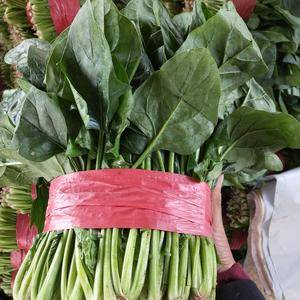 泰安良庄北宋市场出售菠菜，欢迎前来采购。手机178548...