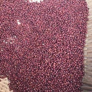全新 红小豆 有机杂粮 便宜出售 家里奶奶种的，700多...