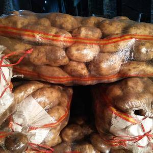 土豆大掉价，大量供应荷兰十五围场库存货，2两通天货，3两...
