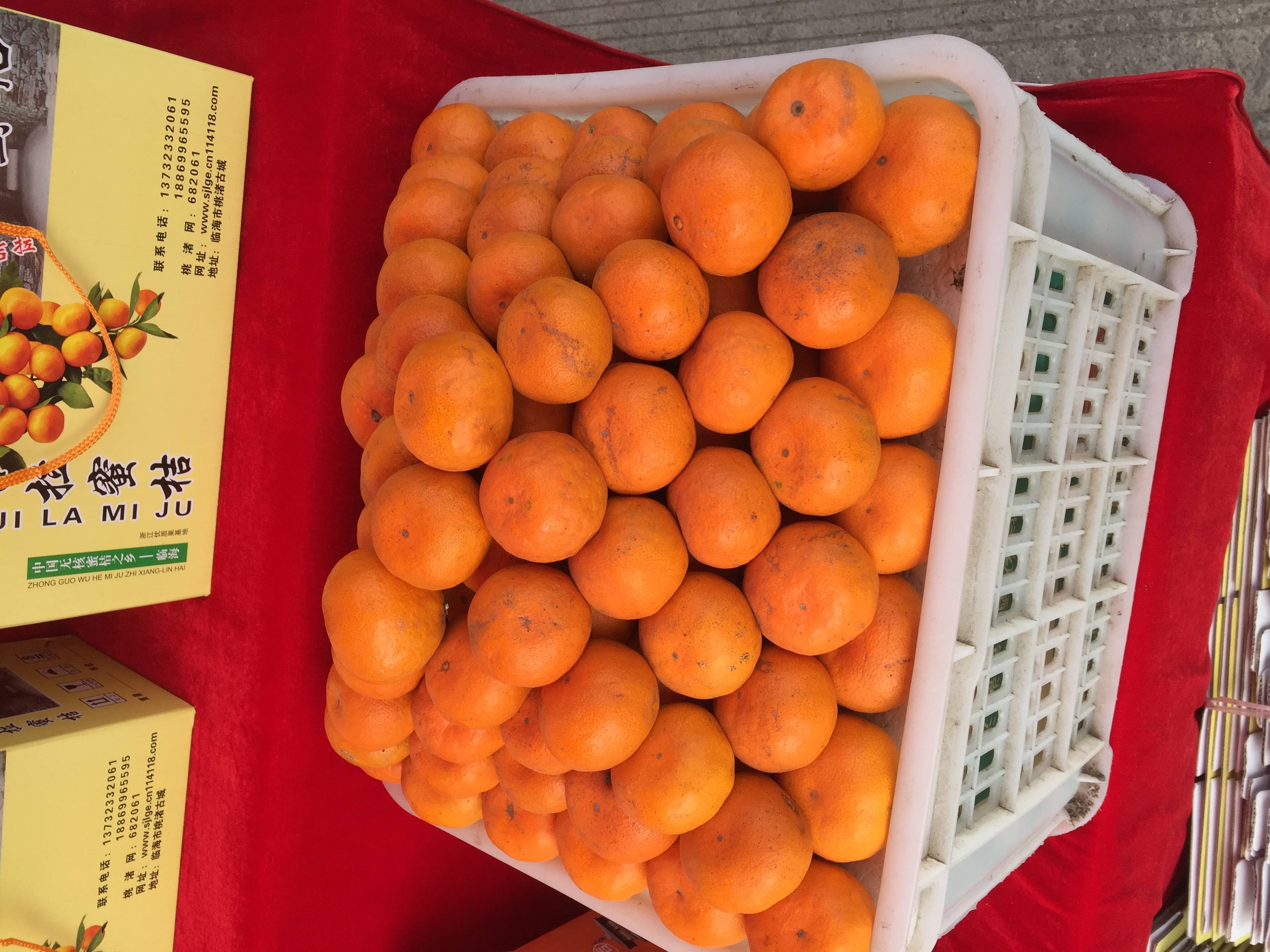出售大量黄岩蜜橘，涌泉蜜橘，也可以代收蜜橘，有需要加微信聊，18767092032