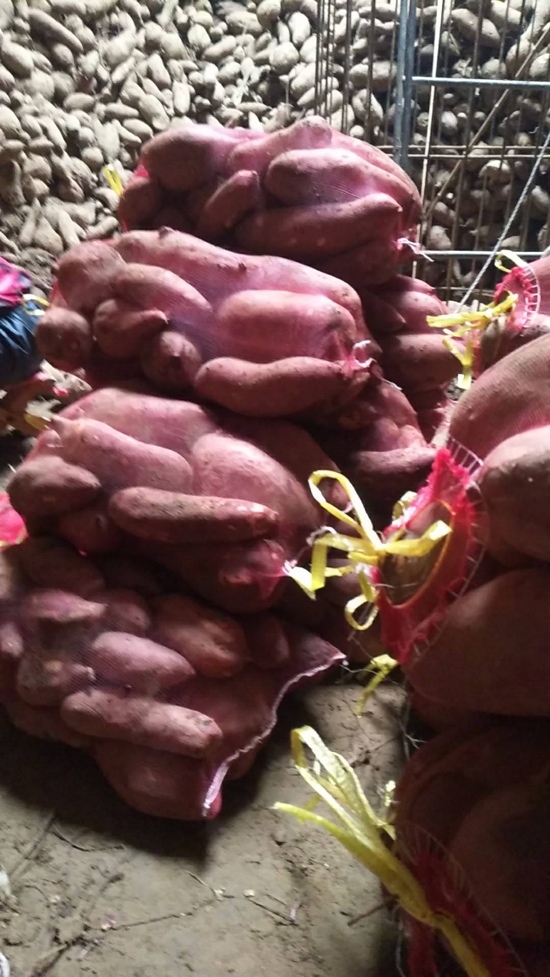 红薯大量上市   品种齐全，价格合理，保质保量  欢迎前来选购电话18753441710--18765598700