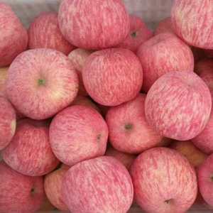 山东苹果产地直销，大量出售红富士苹果，颜色好，表光好，亮...