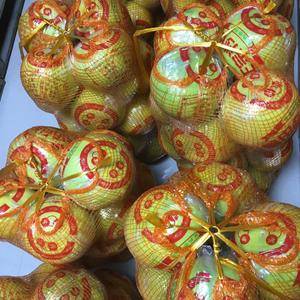 梅州沙田柚1万斤，糖度16以上，1.6斤上线打好包2.8...
