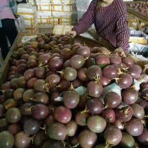泰国进口紫色百香果
香甜不酸
2一斤
起定量:10...