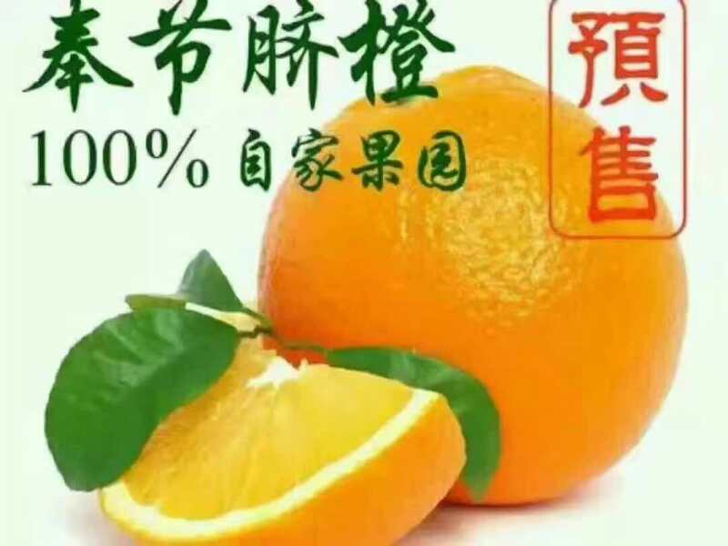 位于中国脐橙之都，奉节！脐橙不打腊，不催熟，纯绿色水果，少儿，老人孕妇都可以吃，果子挂自家树上，现摘现发，统一发货，电话微信统一号15736386361