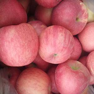 高品质红富士苹果：条纹，片红，粉红佳人苹果！颜色好，口感...