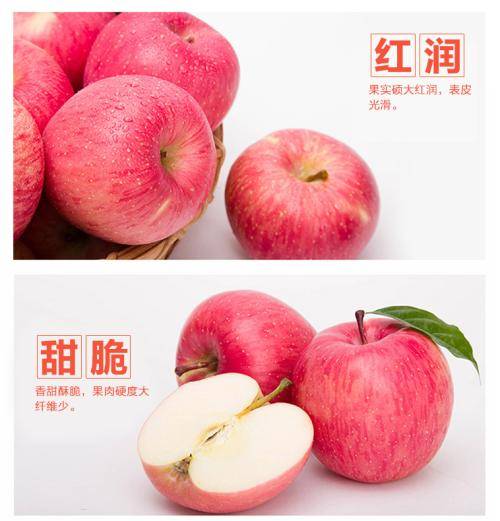 陕西乾县乃西北最大的苹果产植基地，以产红富士苹果为主，纯...