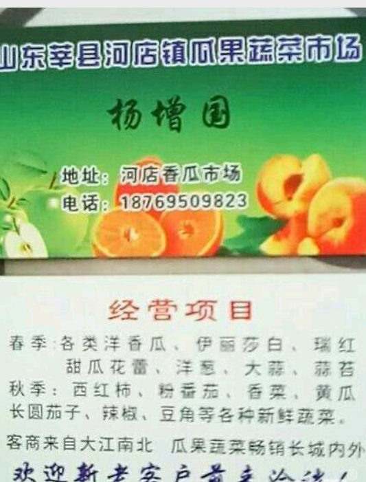 山东莘县香瓜甜瓜大量上市，欢迎全国客商前来选购，质优价低，18769509823