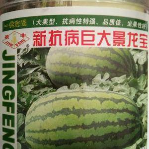 景龙宝西瓜种子：适宜春季露天栽培的西瓜品种，抗病性强，也可用于重茬栽培。平均单瓜重15-30公斤。