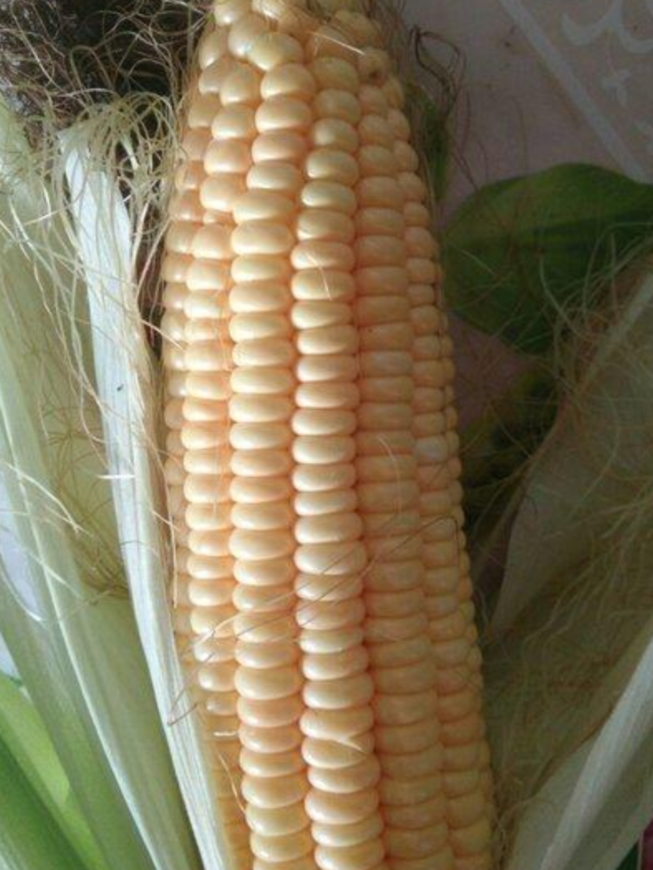 阜南县王家坝本处种植的有水果玉米，水果玉米比水果还甜的玉米可以生吃的玉米，6月份大量上市