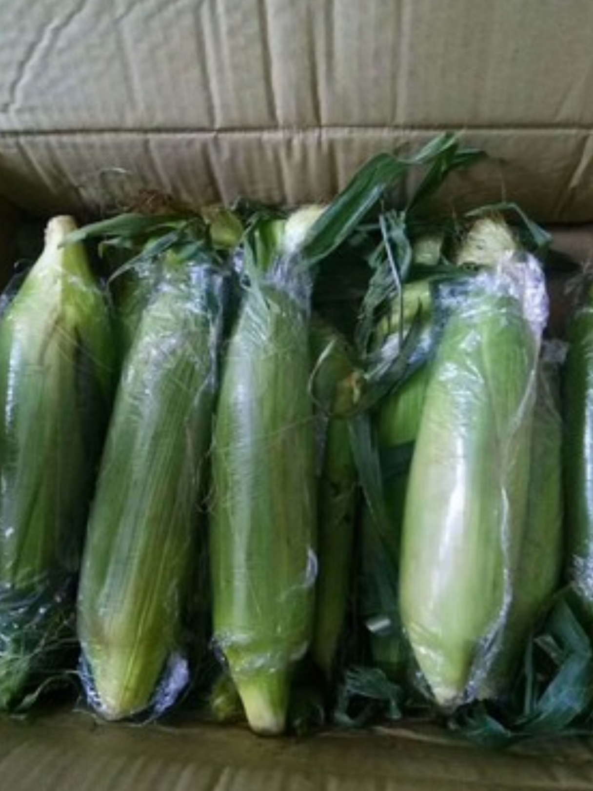 阜南县王家坝本处种植的有水果玉米，水果玉米比水果还甜的玉米可以生吃的玉米，6月份大量上市