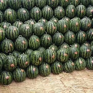 山东青州大棚西瓜已大量上市了，主要品种有甜王双星科城等。