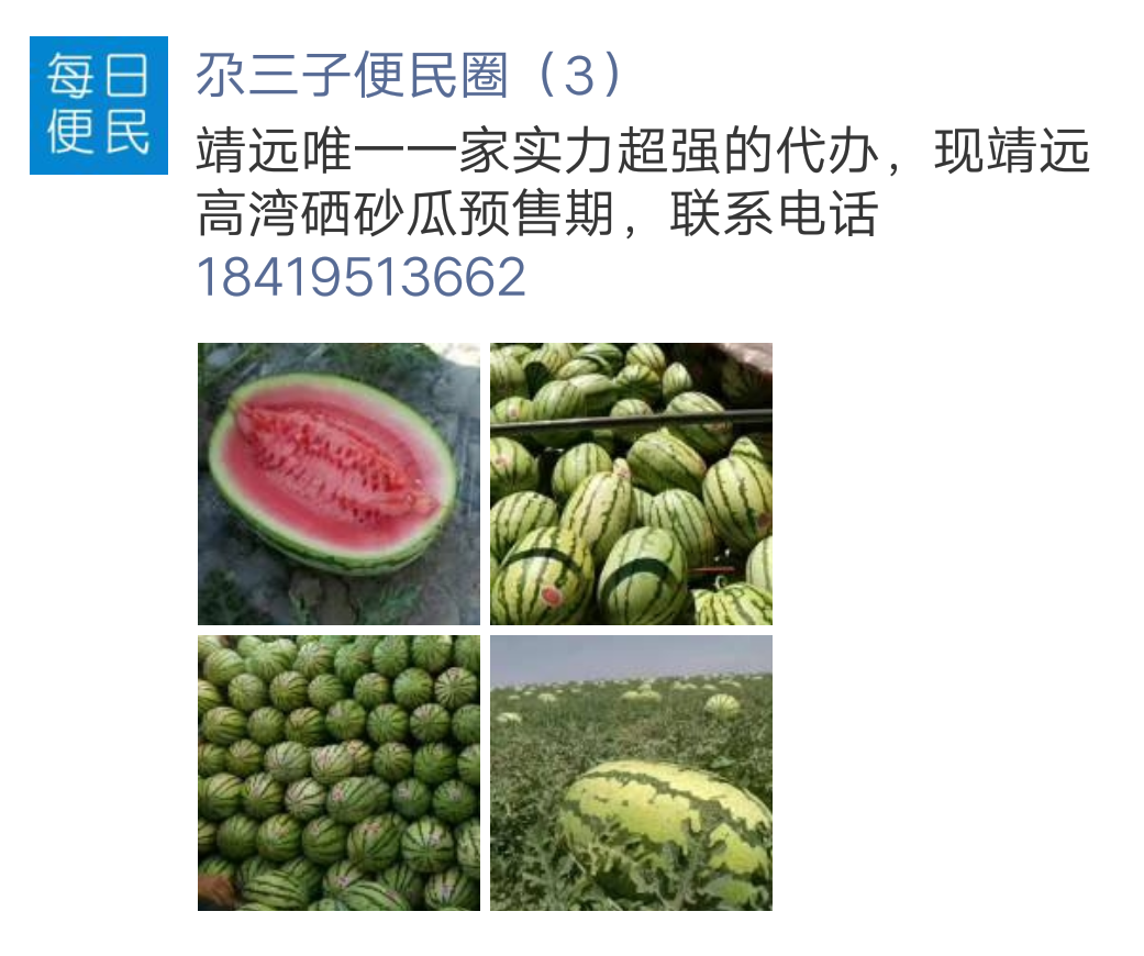 甘肃靖远硒砂瓜预售期，预计六月中上市