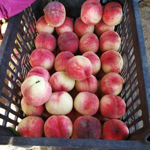 本地有各种早晚熟毛桃油桃，6月份大量上市，桃子的主要品种...