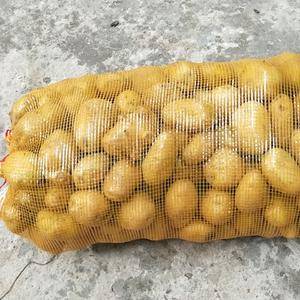 山东省肥城市主产区大量供应小土豆，1-3和2-4精品一级...