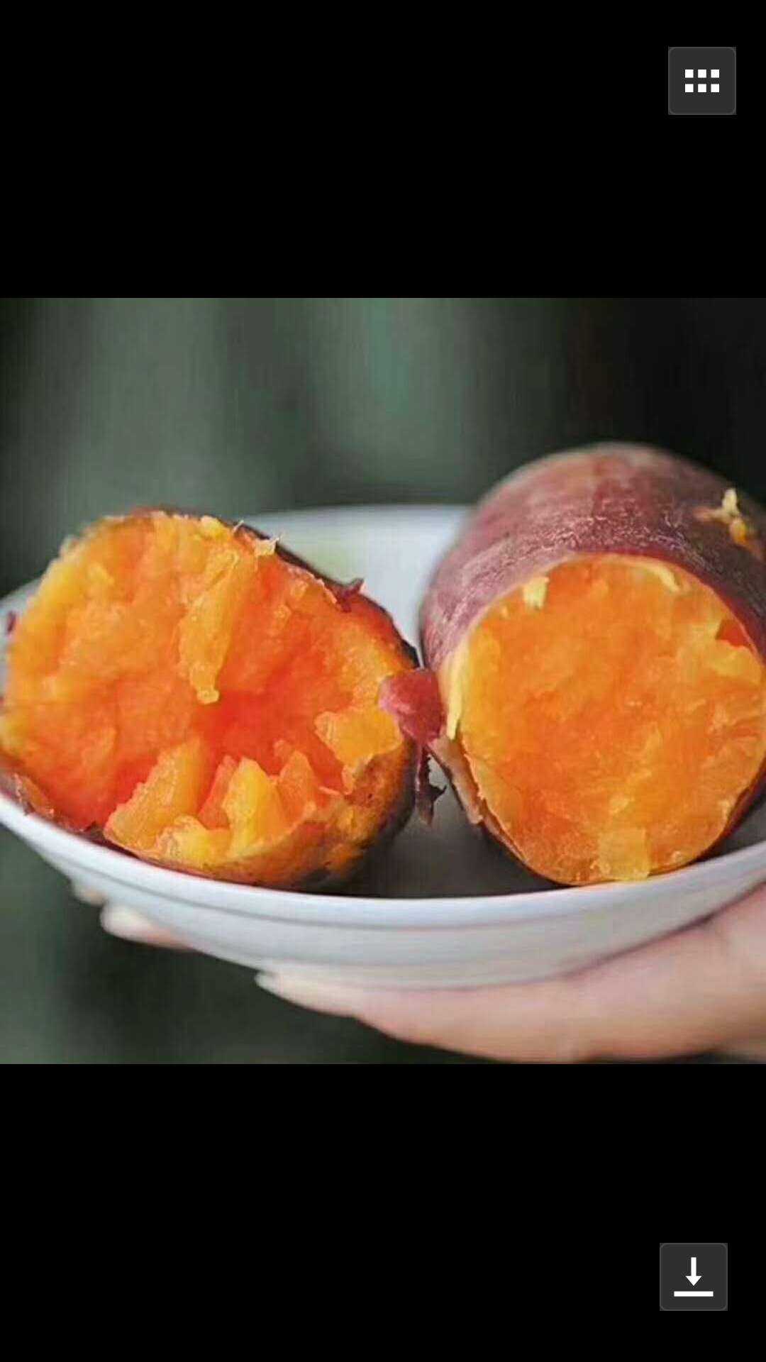 西瓜红红薯(优质薯品种优)，产品位于河南省黄河故道著名产...