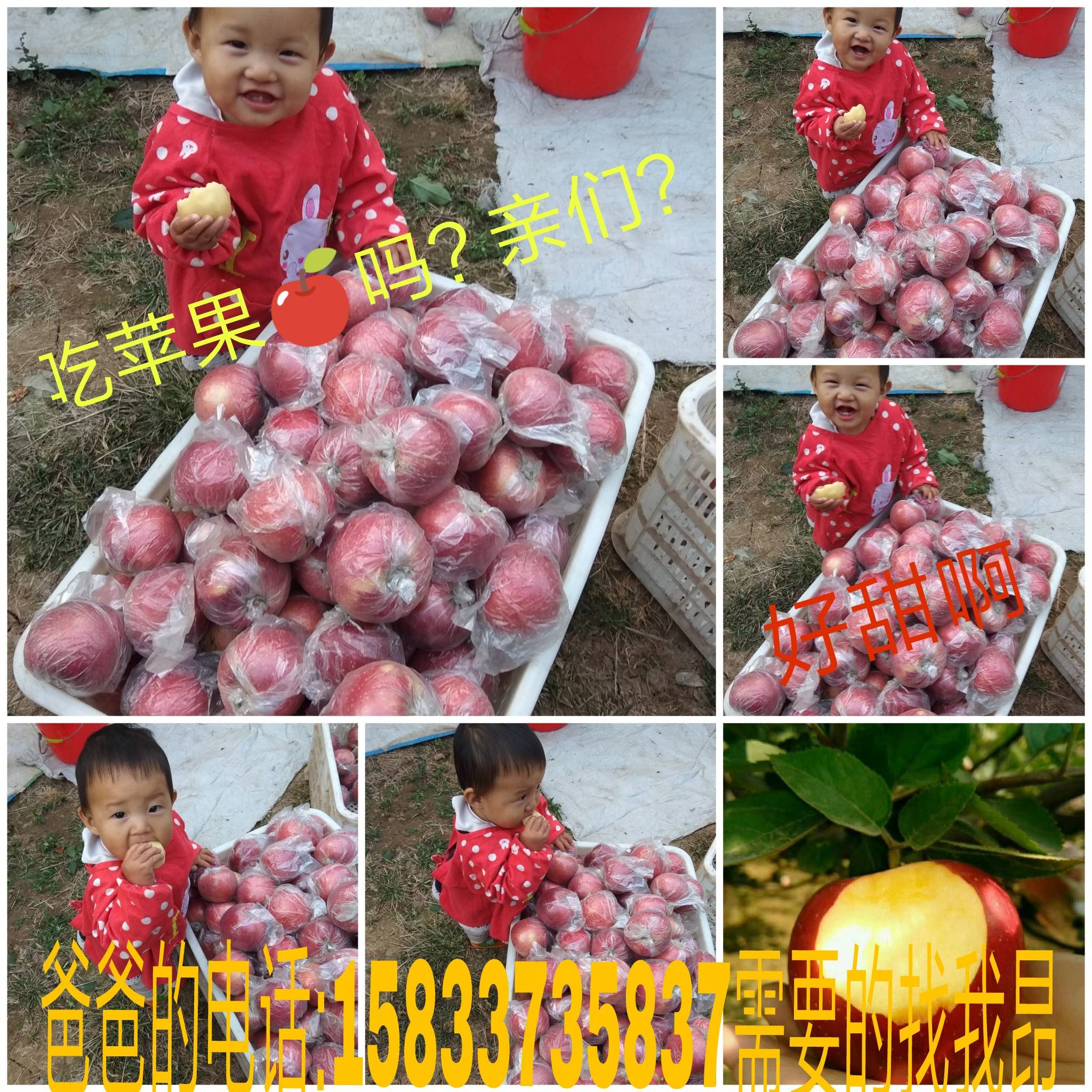 梅庄国红苹果
