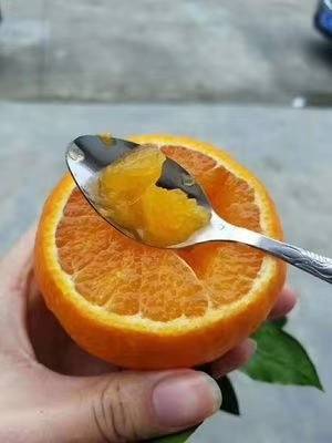 四川爱媛果冻橙，自己家种植、老少皆宜、一件代发面向全国招代理，有意加微信