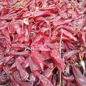 山西忻州北京红干椒大量上市。联系电话1350970198...