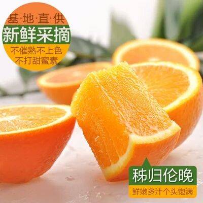 九月红脐橙：又名“早红脐橙”、“屈乡秋橙”，是目前我国所有栽培脐橙中成熟期最早的品种。果肉为橙红色，囊壁较薄，果肉质地细嫩，果汁丰富，富含香气，可食率较高。10