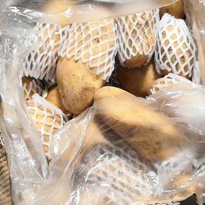 冷库荷兰十五土豆大量供应，4两以上箱装，2-4两袋装，颜...