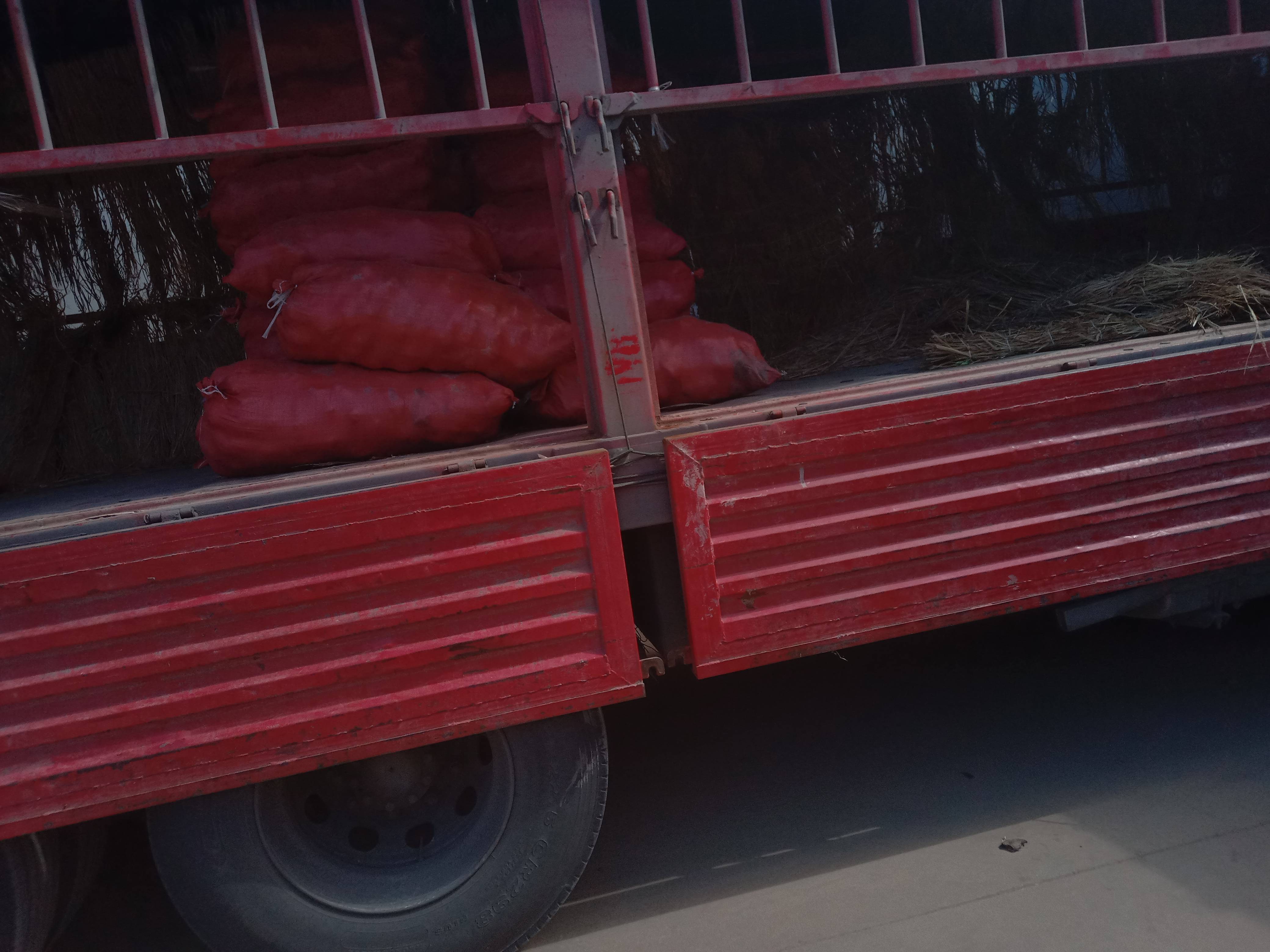 云南土豆，合作88.大货量需要的联系。15911538656