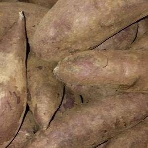 红薯，紫薯量大，品种齐全，质优价廉