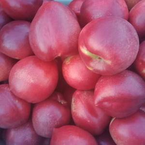 辽南大棚油桃，樱桃大量上市了，有收购的客户请联系
