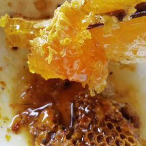 野生蜂蜜的珍品一一马叉蜂纯蜜，纯天然原浆，保健，滋补功效...