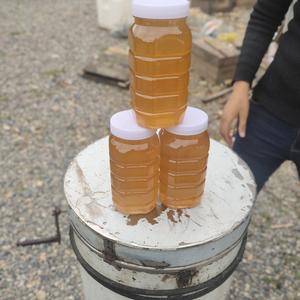 你好，本人出售西藏高原百花蜜，没有污染，纯天然，糖的度数...