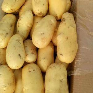 平度土豆逐渐上市，扁包菜大量上市，需要的请联系15224...