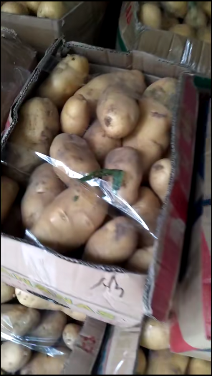 济宁大量销售土豆，有意者联系，电话18678785446