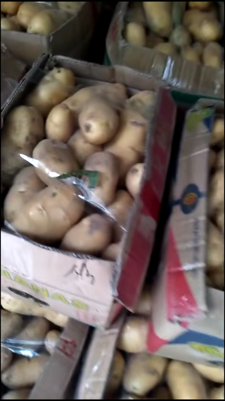济宁大量销售土豆，有意者联系，电话18678785446