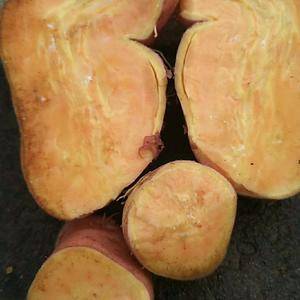 产地供应红薯 各个品种现在陆续上市18660989133