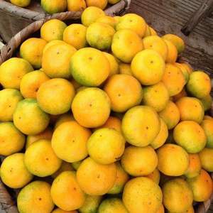 湖北宜昌蜜桔，特早蜜橘
指产于宜昌市境内，按照特定的技...
