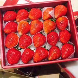 红颜草莓苗，保品种免费提供种植技术