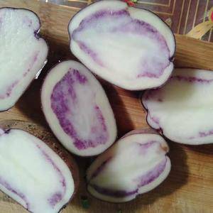 四格乌洋芋是贵州有名的地方洋芋品种，在贵州有上百年的种植...