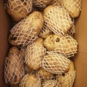 精品荷兰十五土豆（三两起步纸箱货）