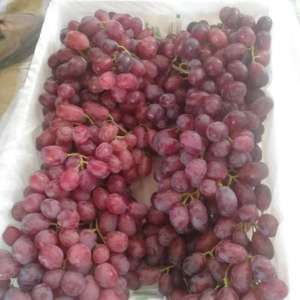 新疆新鲜葡萄出售，1次果，颗粒均匀，有周转筐，耐储耐运，...