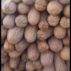 八到十六斤的精品蜜本南瓜…大量供应
