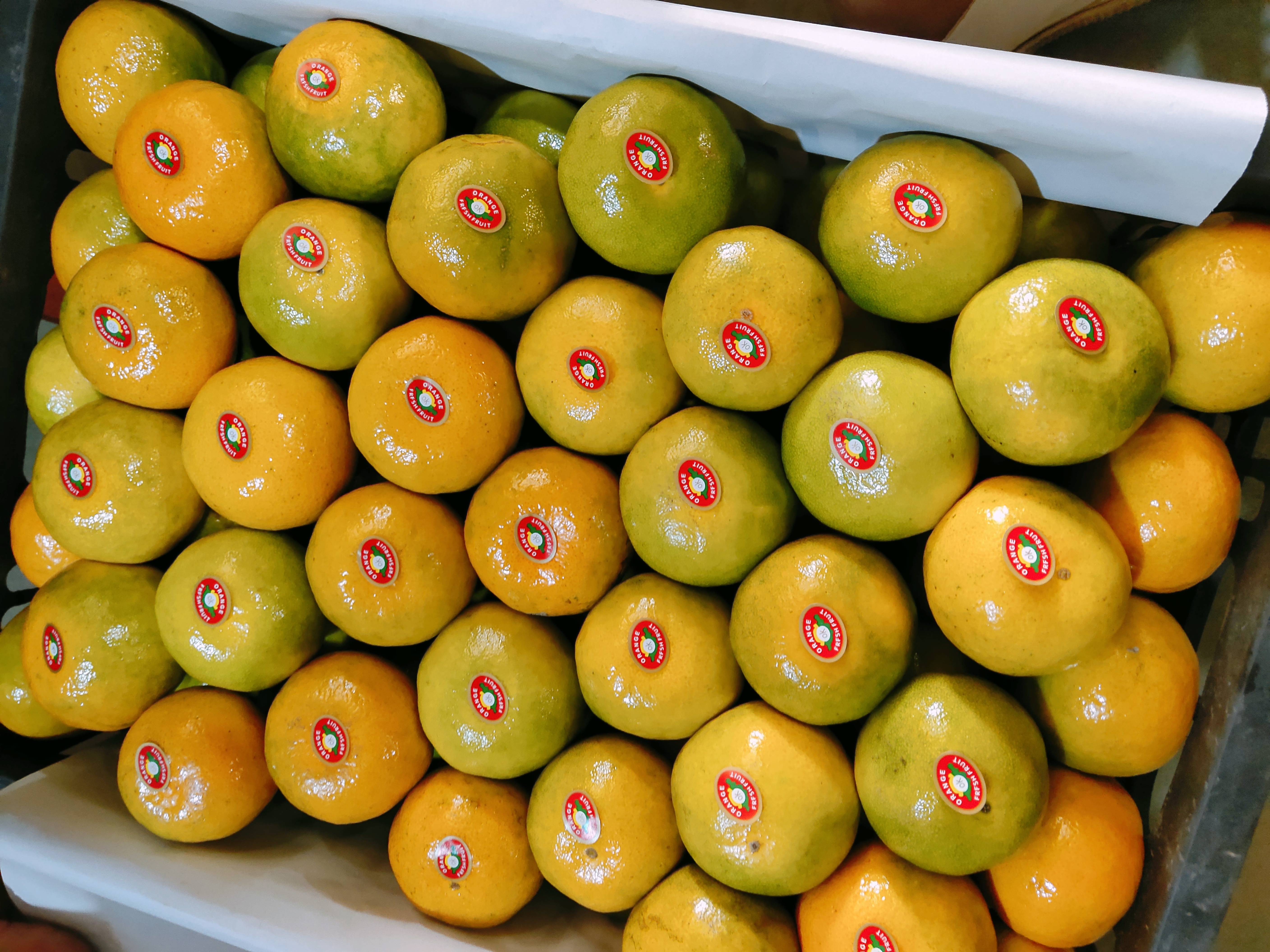 特早熟蜜橘产地直销，大量销售中，果园看货摘果，个大口感甜，果面靓丽