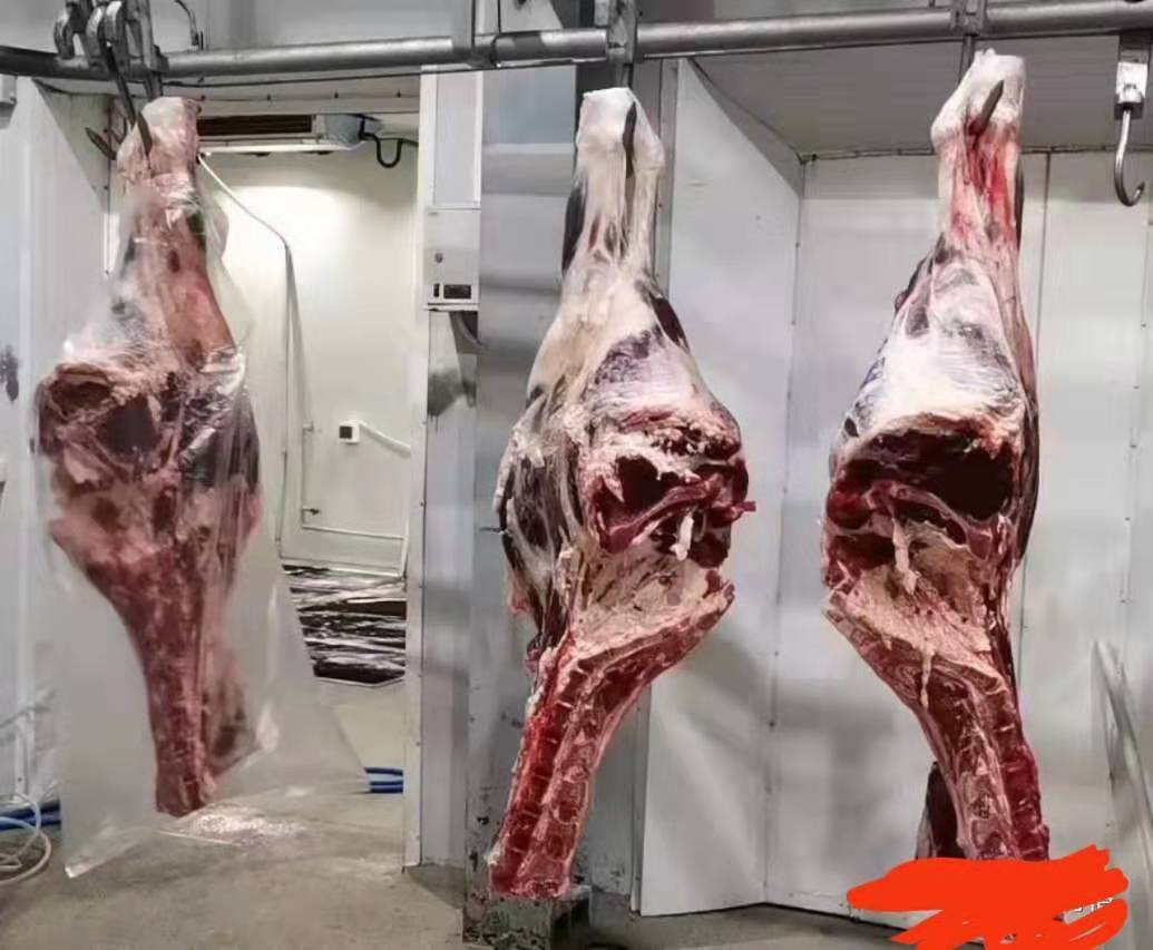 按照一带一路双方国家合作情况下哈萨克斯坦牛肉进口了，4分体，6分体，带骨，不带骨的，新疆阿拉山口口岸可以接货交易，有实力的公司可以联系我们，1555933795