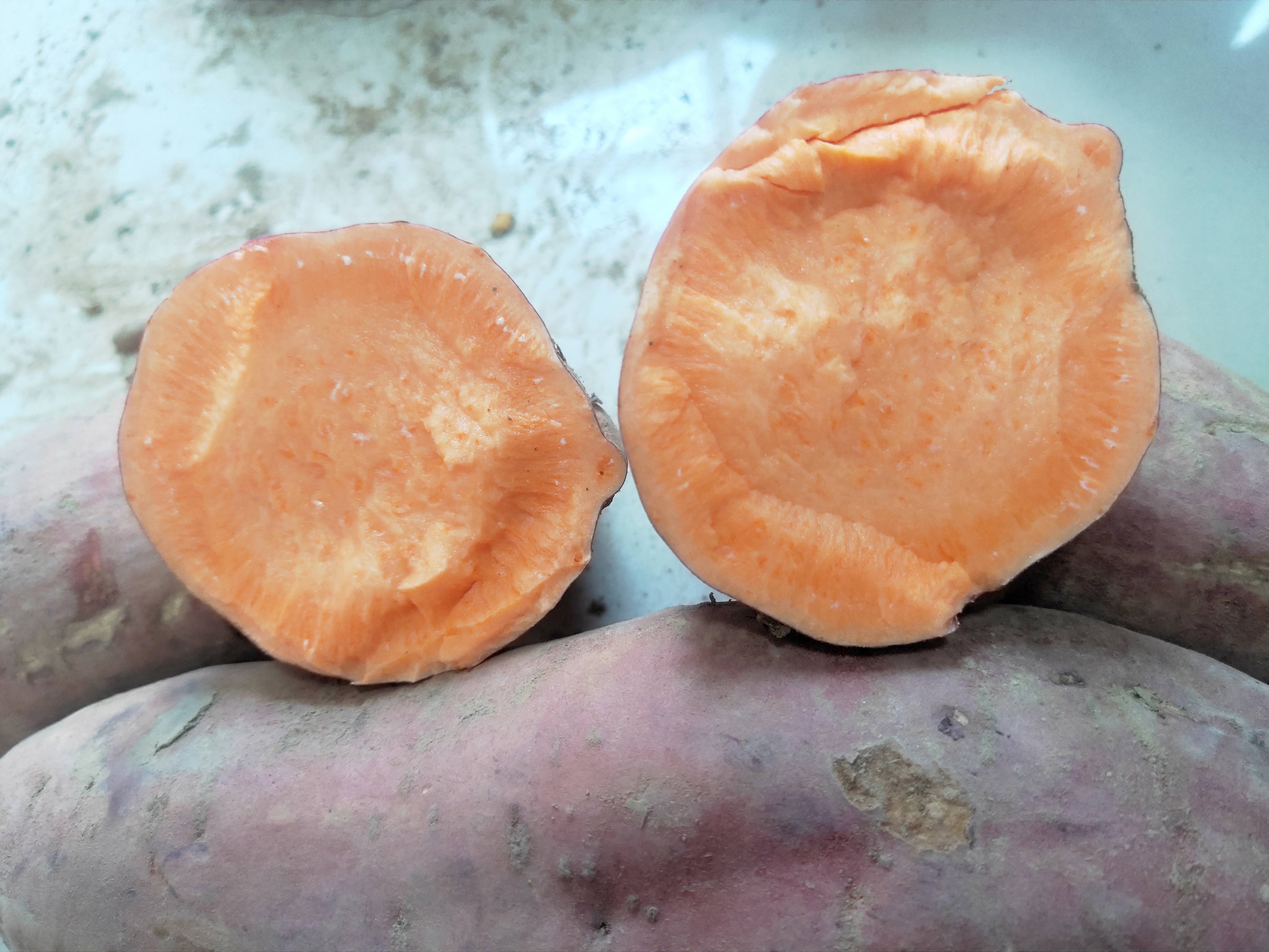 西瓜红红薯，红皮红心沙土种植，高质量现有20万斤。有需要...