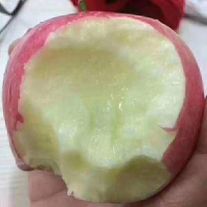 宜川苹果素以色、香、味俱佳著称。它品质优良，果形优美，个...