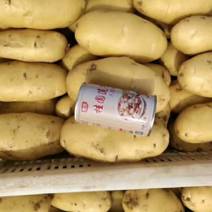 荷兰土豆1左右，10000斤起批